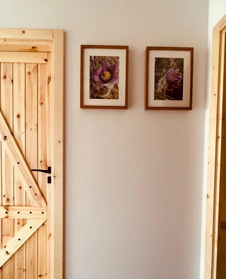 Sasanka - Gorski Apartament Z Ogrodkiem Закопане Экстерьер фото